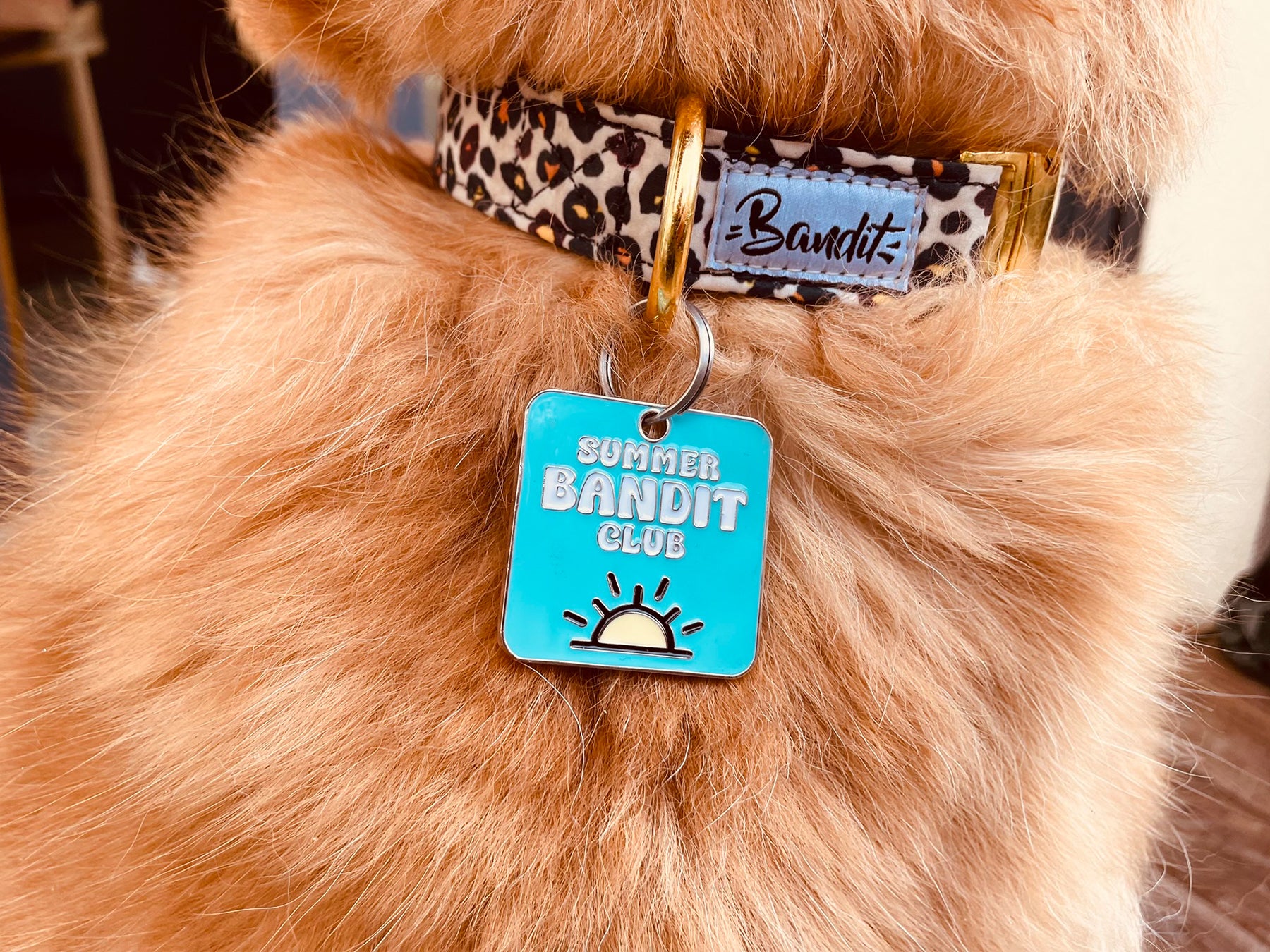 bandit-m-daille-summer-pour-chien-4x4-cm-lac image 2