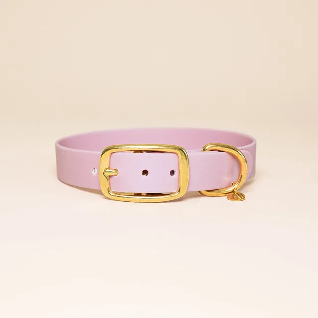 fid-le-paris-l-aventurier-collier-chien-lilas-taille-m image 1