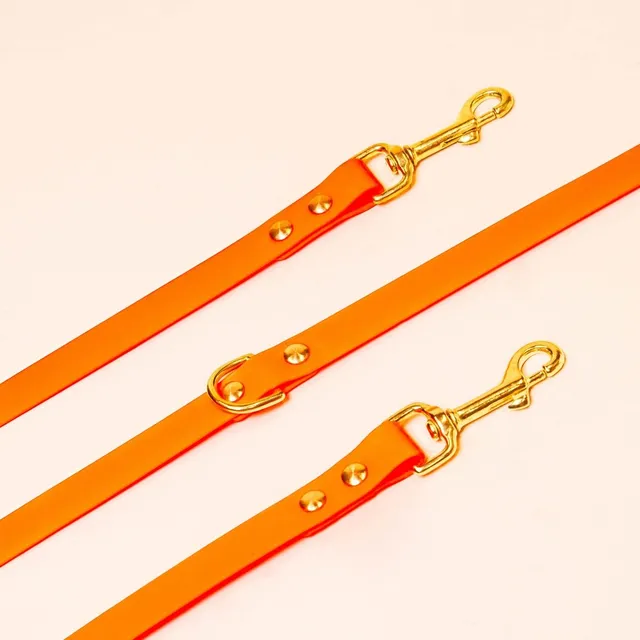 fid-le-paris-laisse-multi-positions-chien-orange-fluo-20-mm image 1
