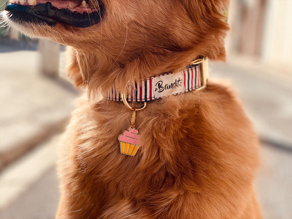 bandit-m-dailles-m-daille-cupcake-m-daille-chien-gourmande-gravable image 2