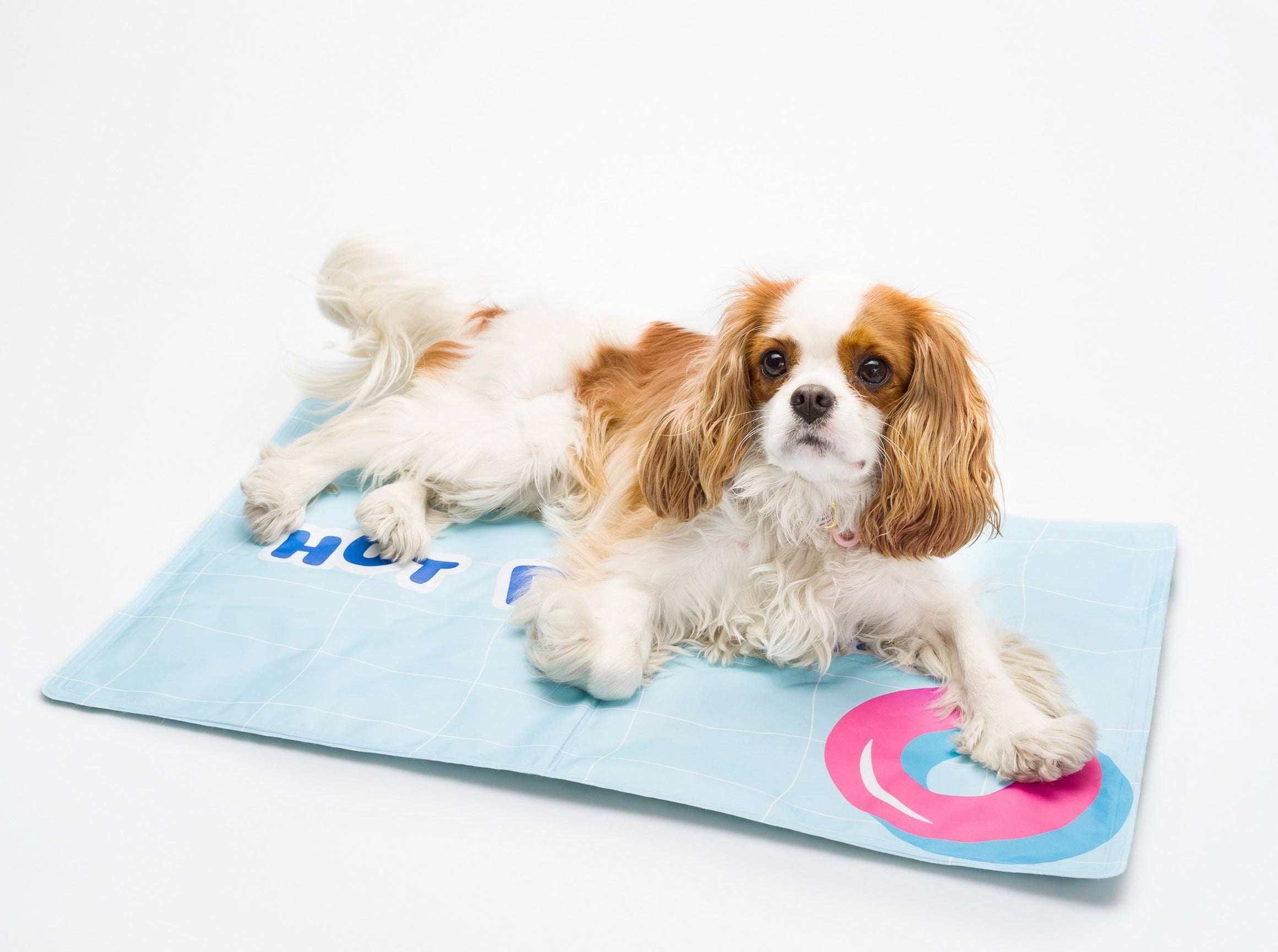 bandit-tapis-gel-frais-chien-chat-40x65-cm image 2