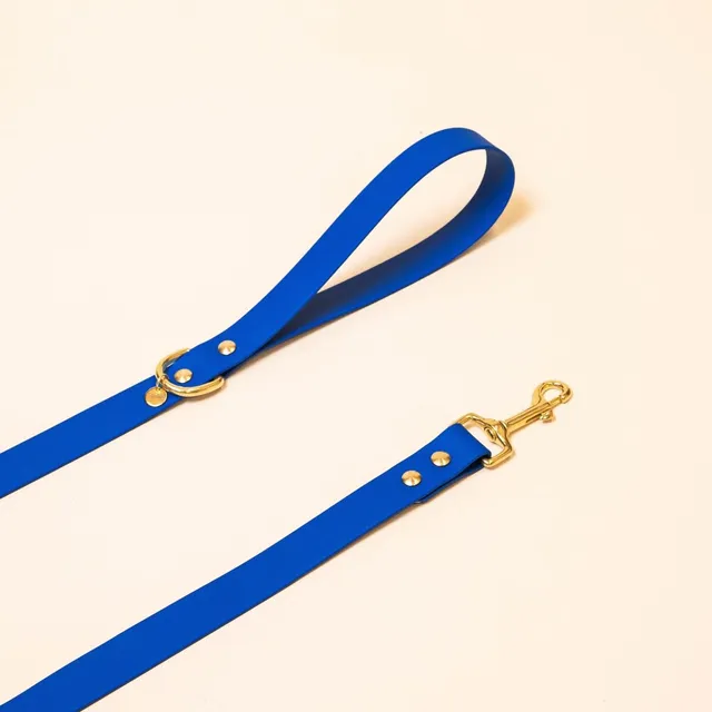 fid-le-l-aventurier-laisse-chien-bleu-roi-20-mm-imperm-able image 1