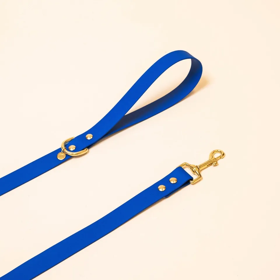 fid-le-l-aventurier-laisse-chien-bleu-roi-20-mm-imperm-able image 1