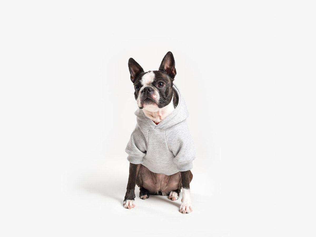 bandit-cool-dog-club-sweat-pour-chien-capuche-bleu-marine image 8