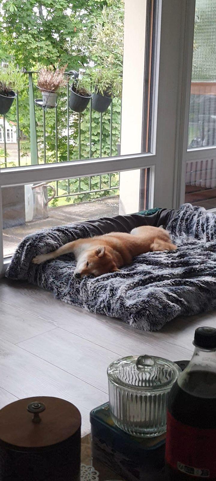 Tissu doux