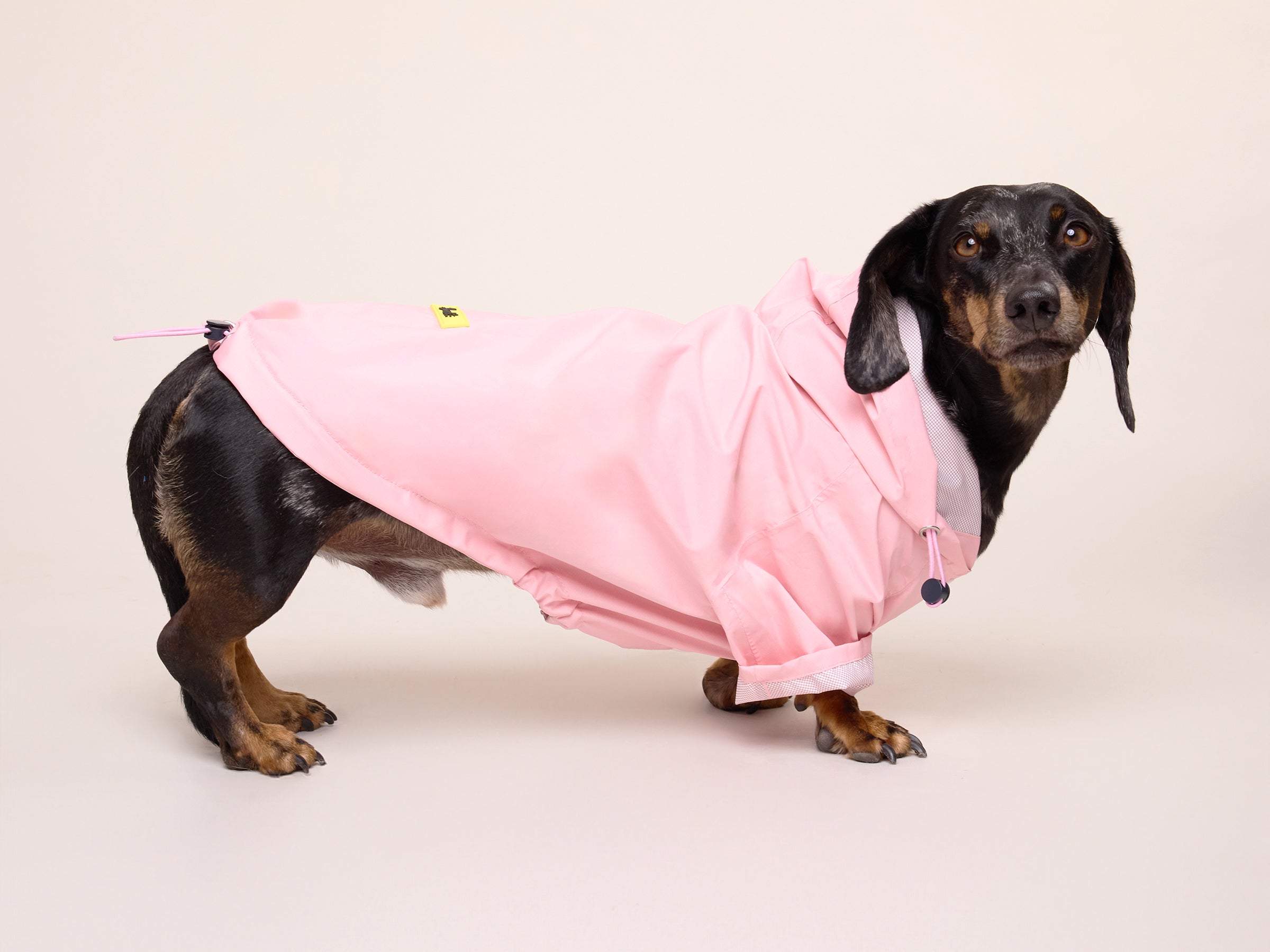 bandit-bubblegum-imperm-able-chien-rose-capuche-harnais image 3