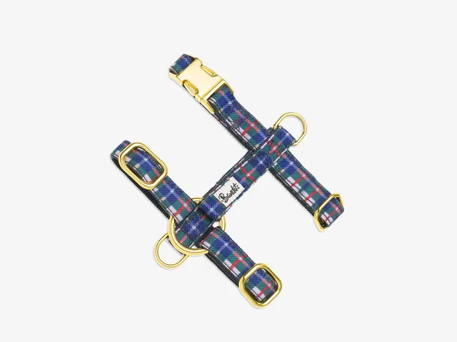 bandit-grand-froid-harnais-chat-tartan-violet-taille-chat image 1
