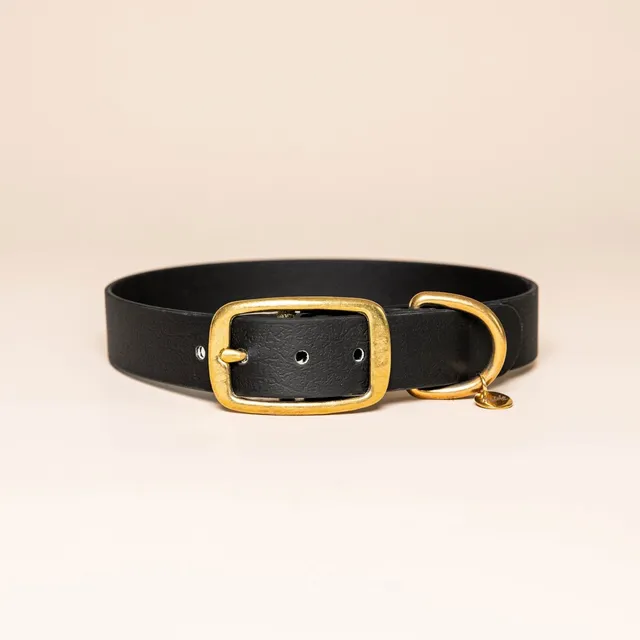 fid-le-paris-collier-chien-noir-l-aventurier-taille-m image 1