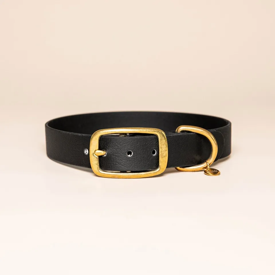 fid-le-paris-collier-chien-noir-l-aventurier-taille-m image 1