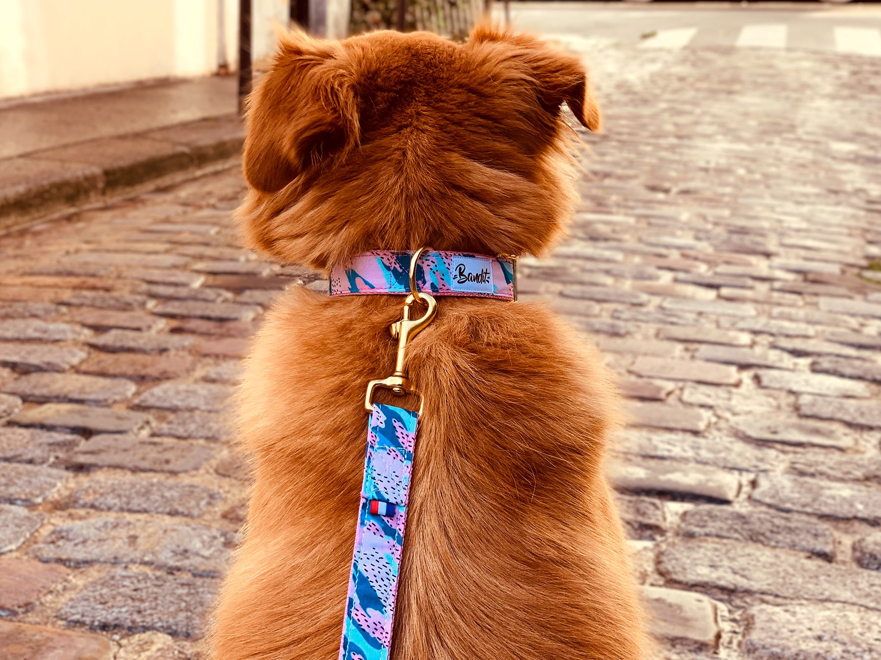 bandit-hippie-cool-laisse-chien-rose-bleu-120-cm image 2