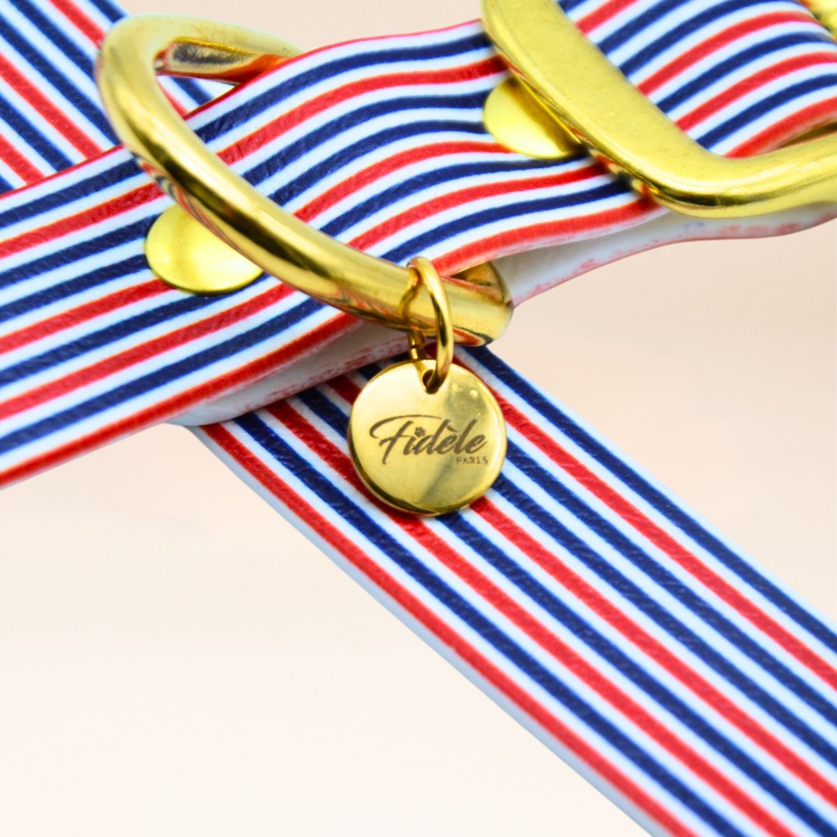 fid-le-l-audacieux-collier-chien-frenchie-m-bleu-blanc-rouge image 2