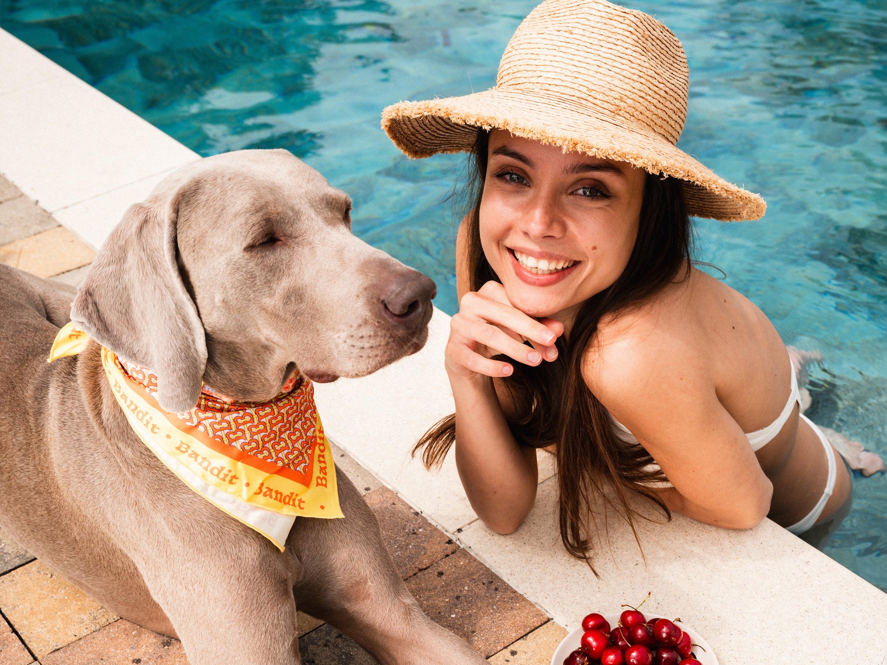 bandit-monogramme-foulard-chien-orange-taille-m-43x43 image 2
