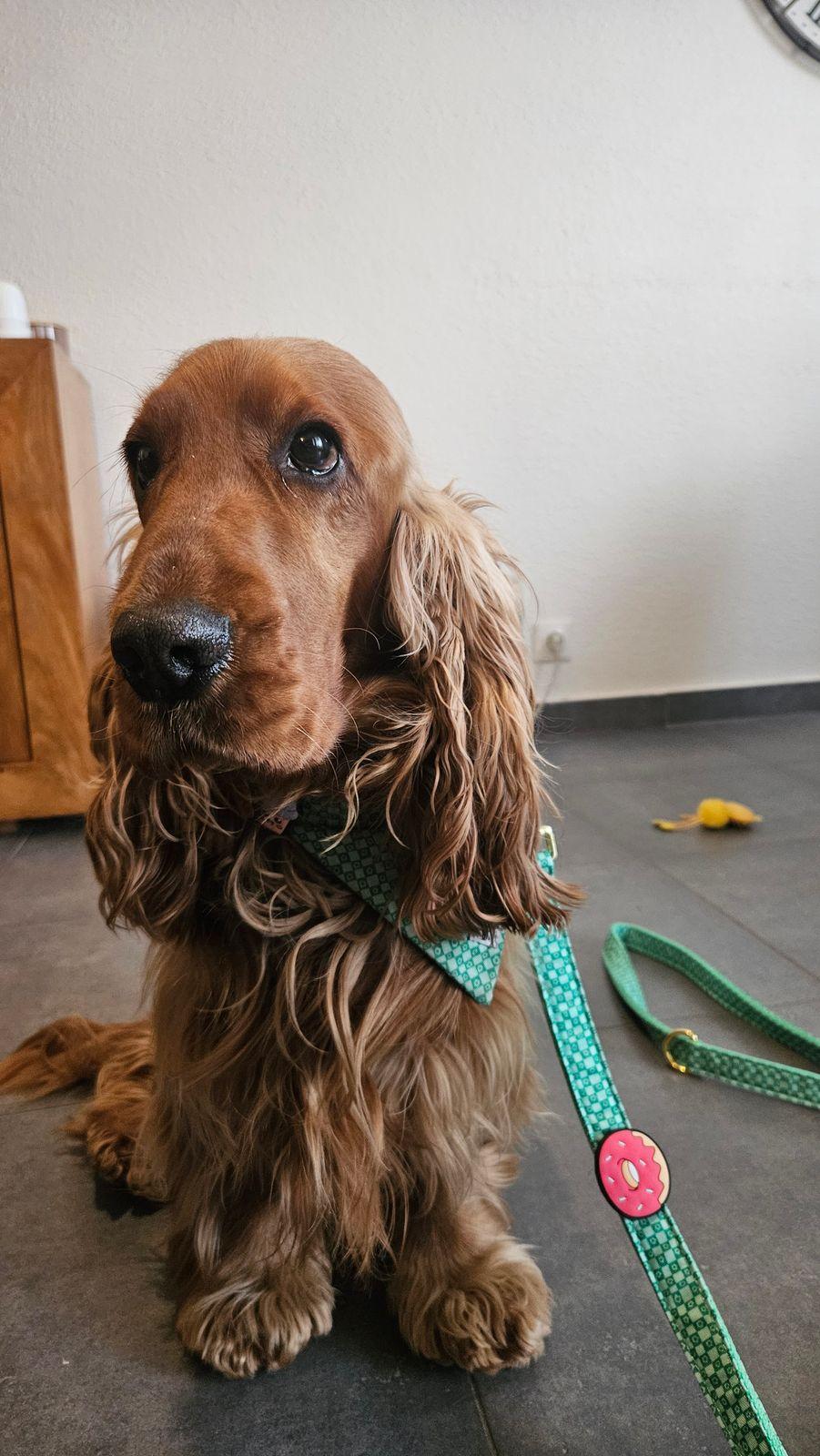 Correct