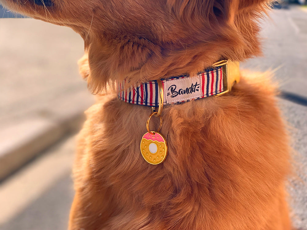 bandit-m-daille-donut-pour-chien-breloque-collier-gourmande image 2