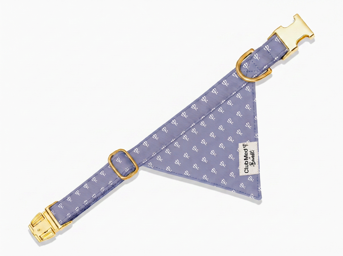 bandit-bandana-chien-club-med-lavande-collier image 7