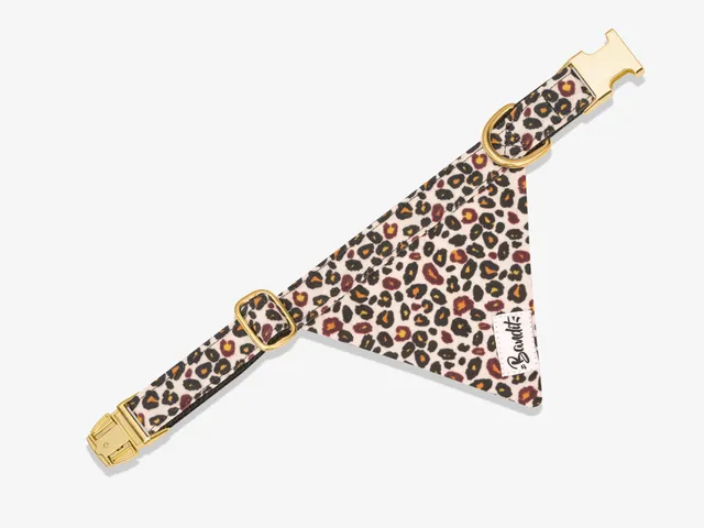 bandit-l-opard-bandana-chien-moyen-imprim image 1