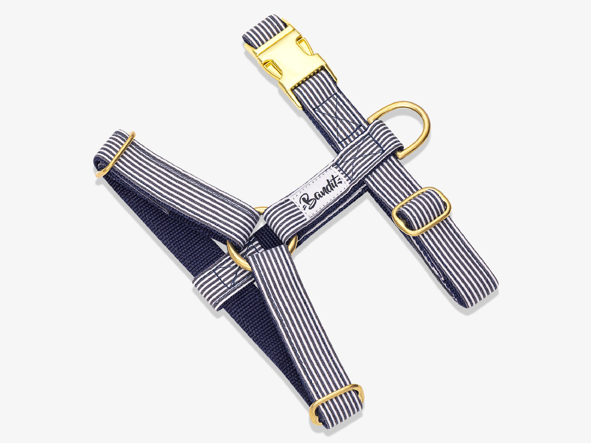 bandit-navy-harnais-chien-marin-ray-chien-moyen image 1