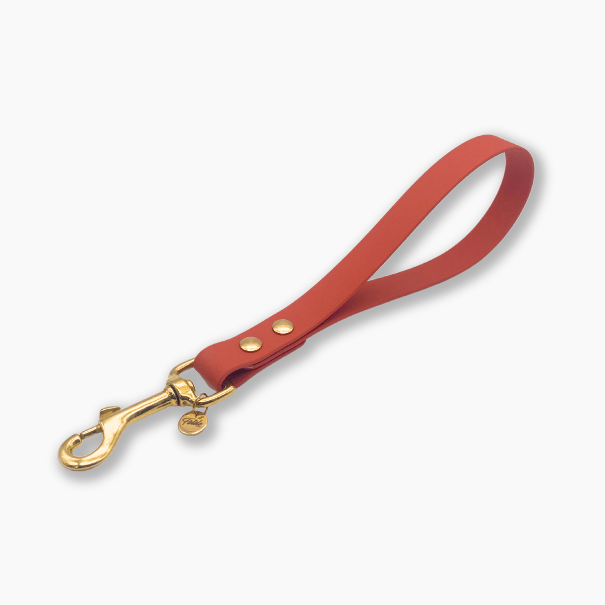 fid-le-paris-poign-e-chien-sangle-tpu-jaune-20-mm image 1