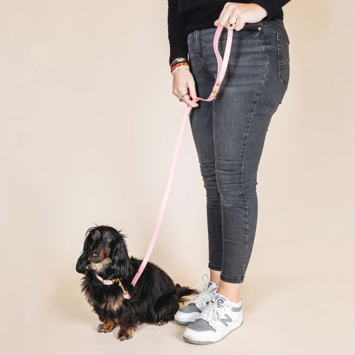 fid-le-paris-l-aventurier-laisse-chien-baby-rose-tpu image 2