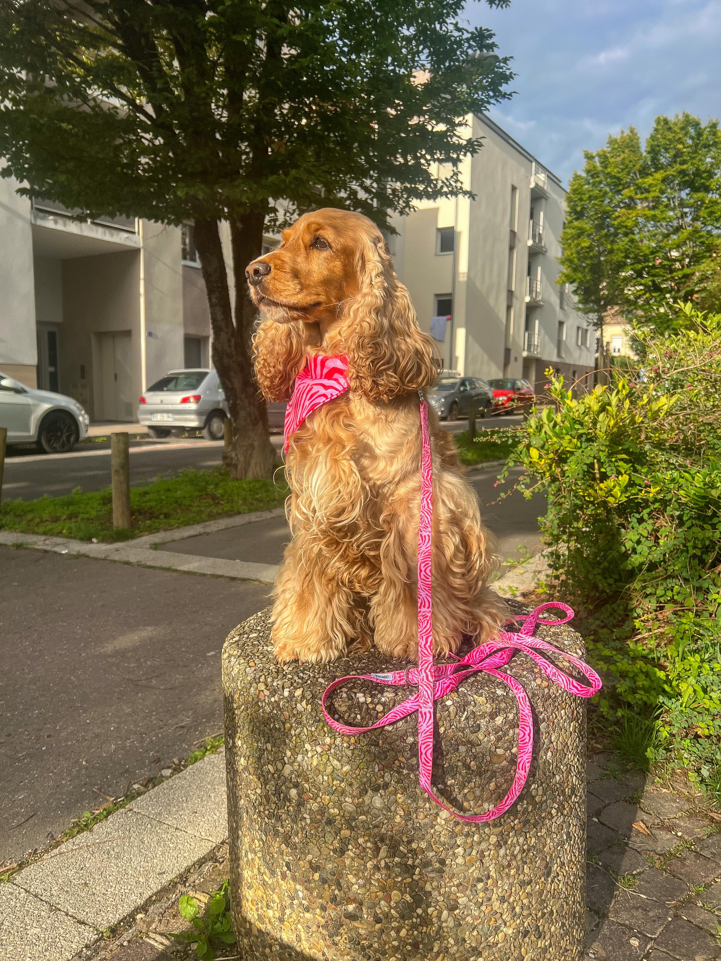 Belle couleur