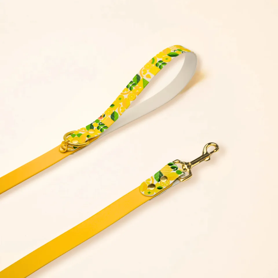 fid-le-paris-laisses-lemon-laisse-jaune-imperm-able image 1