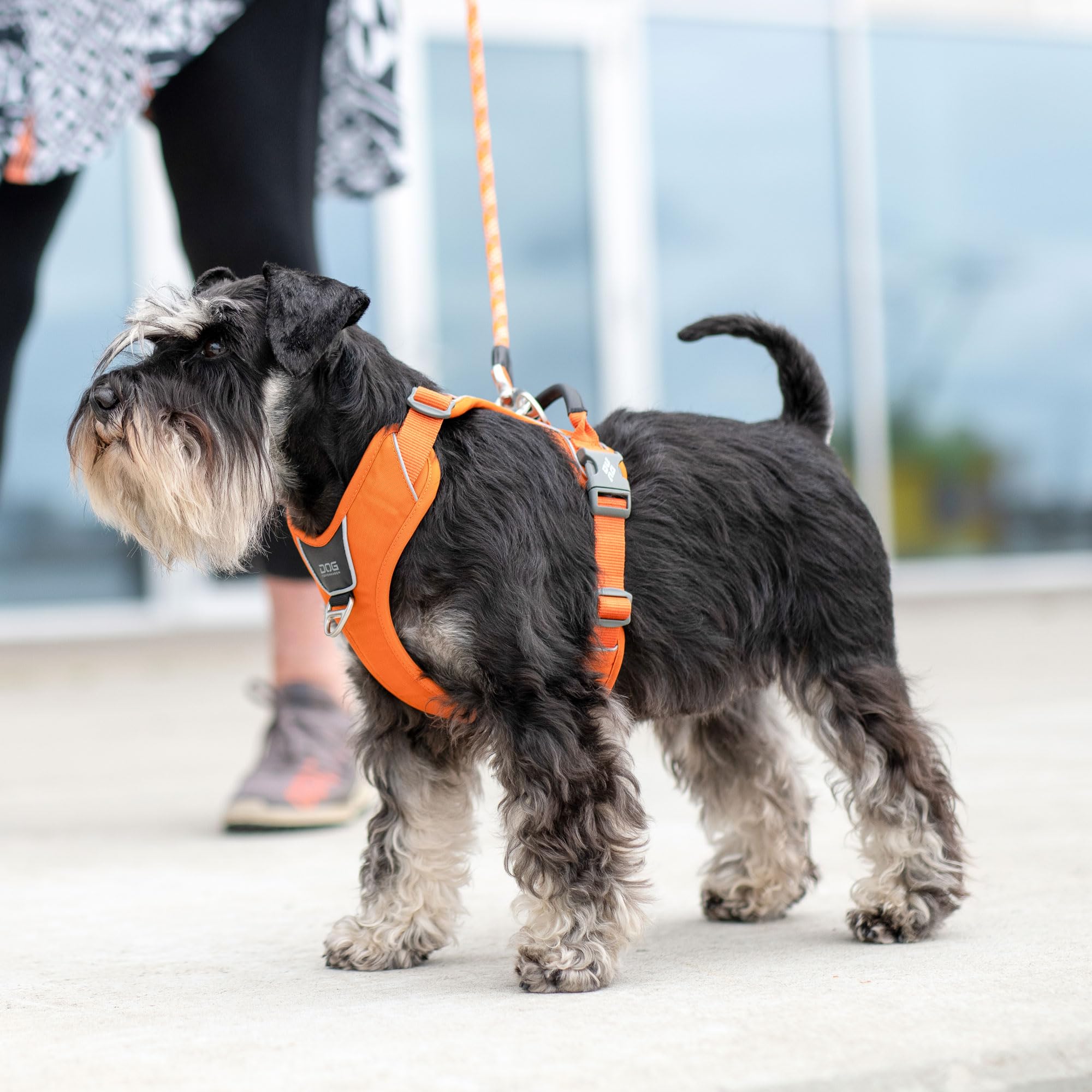 dog-copenhagen-comfort-walk-pro-3-0-harnais-purple-passion-l image 7