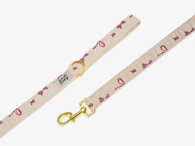 bandit-laisses-romy-laisse-chien-rubans-roses-120-cm image 1