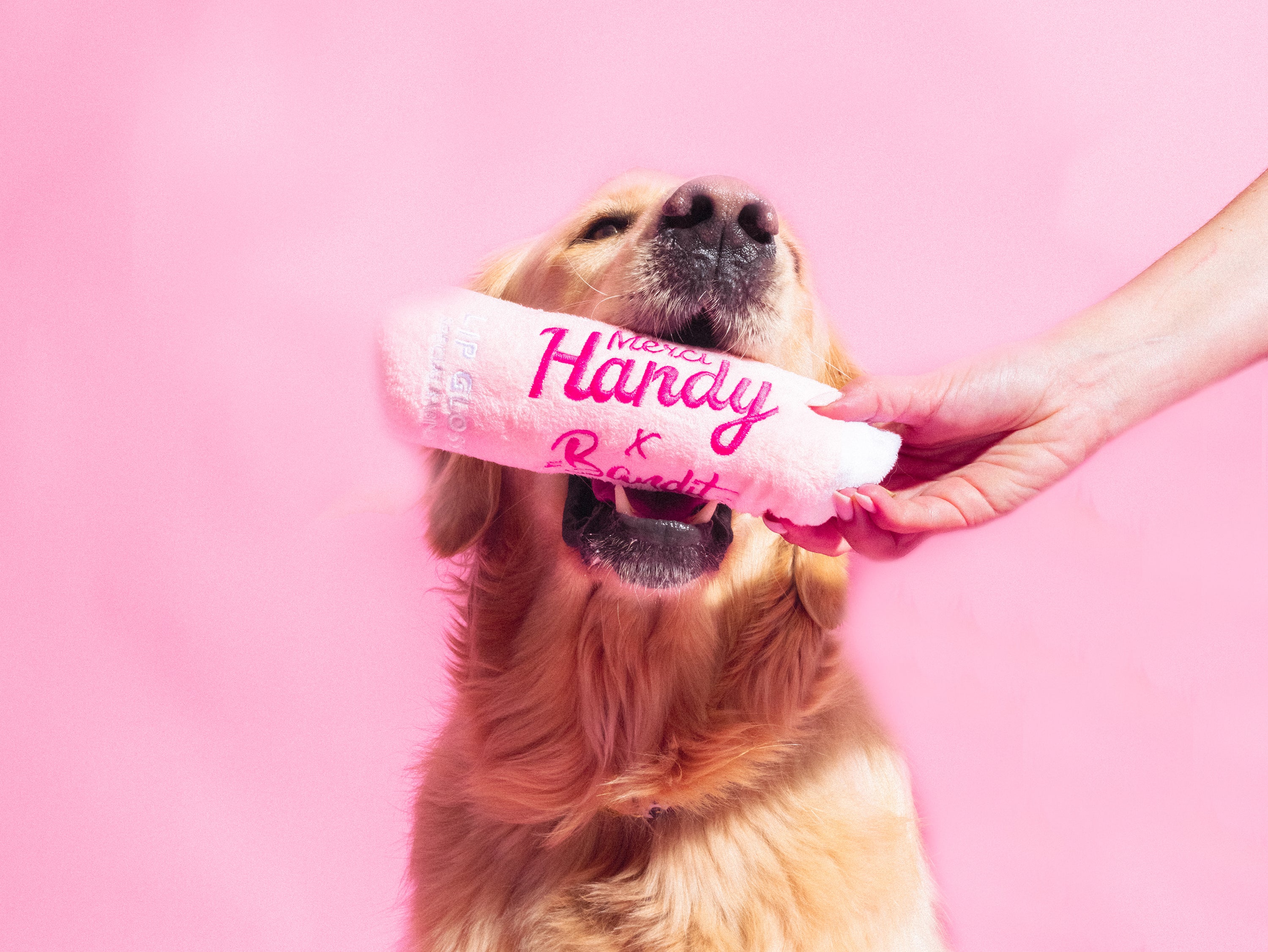 bandit-lip-gloss-merci-handy-jouet-chien-pouic image 5