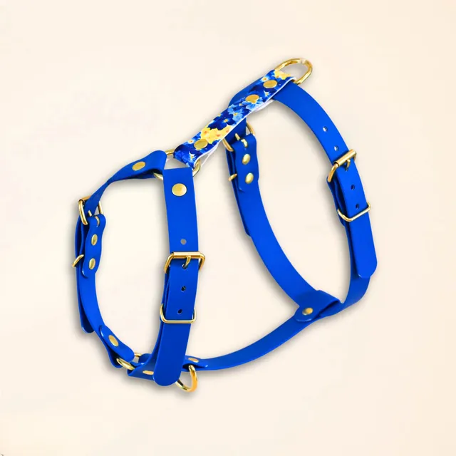fid-le-harnais-the-bloom-dition-harnais-chien-bleu image 1