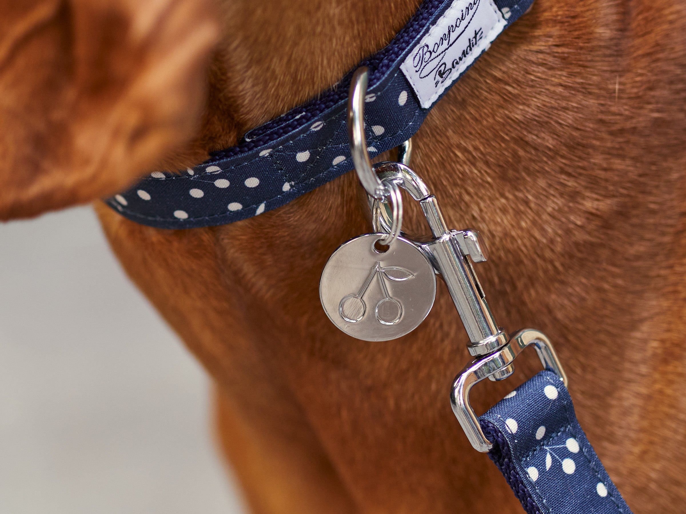 bandit-jeux-d-enfants-m-daille-chien-cerise-marine image 2