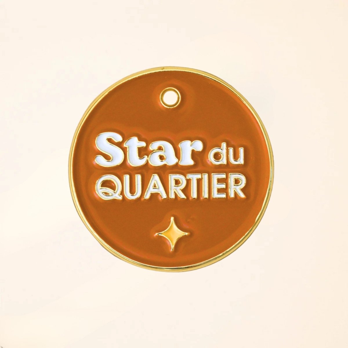 fid-le-m-dailles-star-du-quartier-m-daille-chien-terracotta image 1