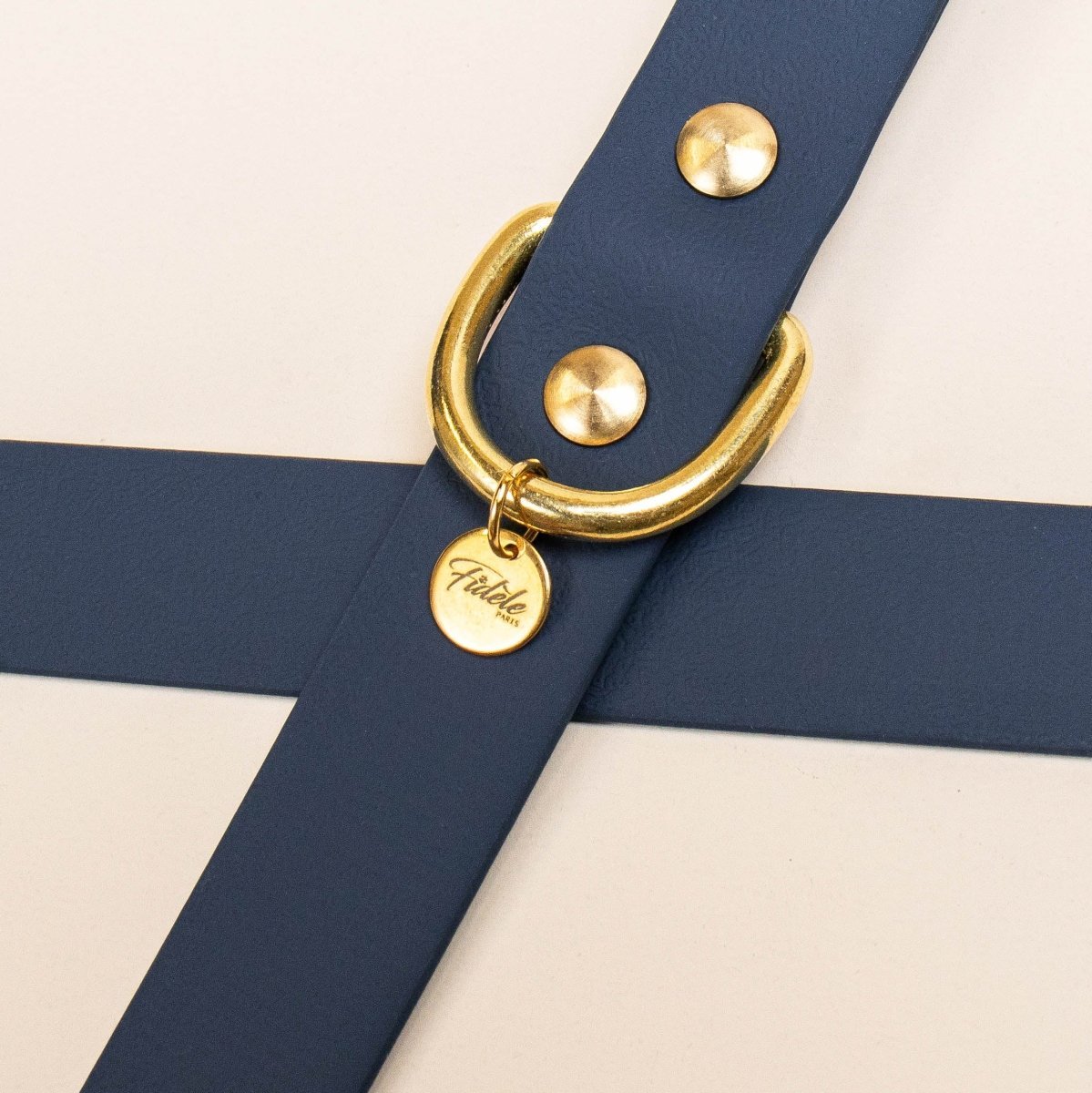 fid-le-l-aventurier-collier-chien-bleu-nuit-m-imperm-able image 3