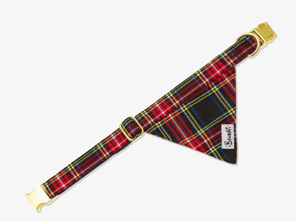 bandit-tartan-bandana-pour-chien-petit-chien-cossais image 1