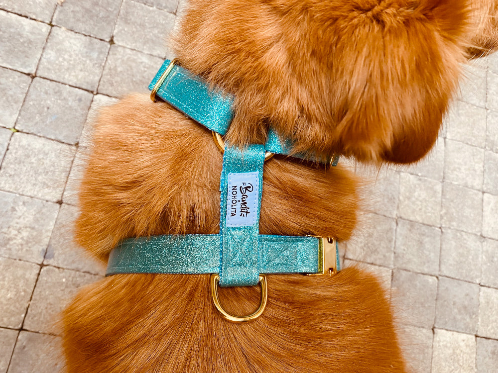 bandit-x-noholita-harnais-chien-paillettes-vinyl-dor-confort image 2