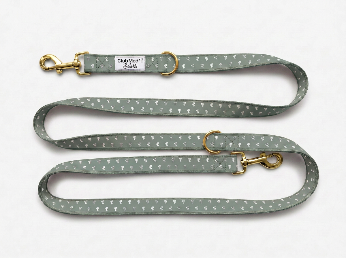bandit-club-med-laisse-chien-bleu-lavande-120-cm-2-5-cm image 3