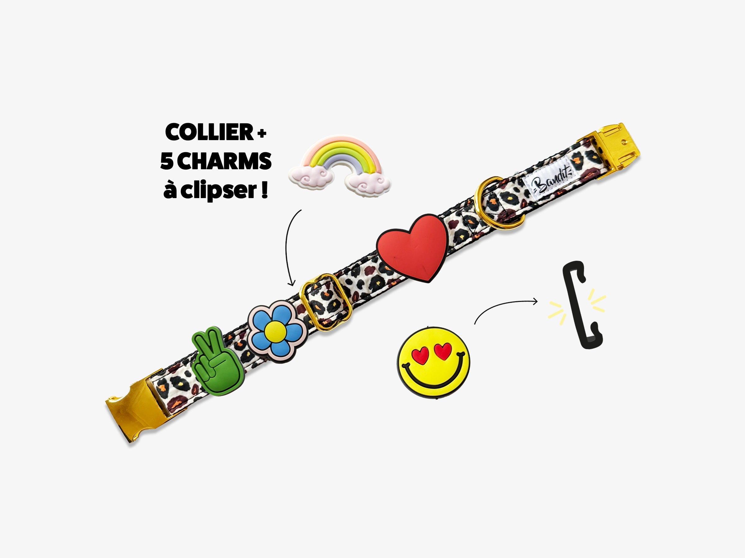 bandit-les-kits-collier-chien-5-charms-french-banban-moyen image 3