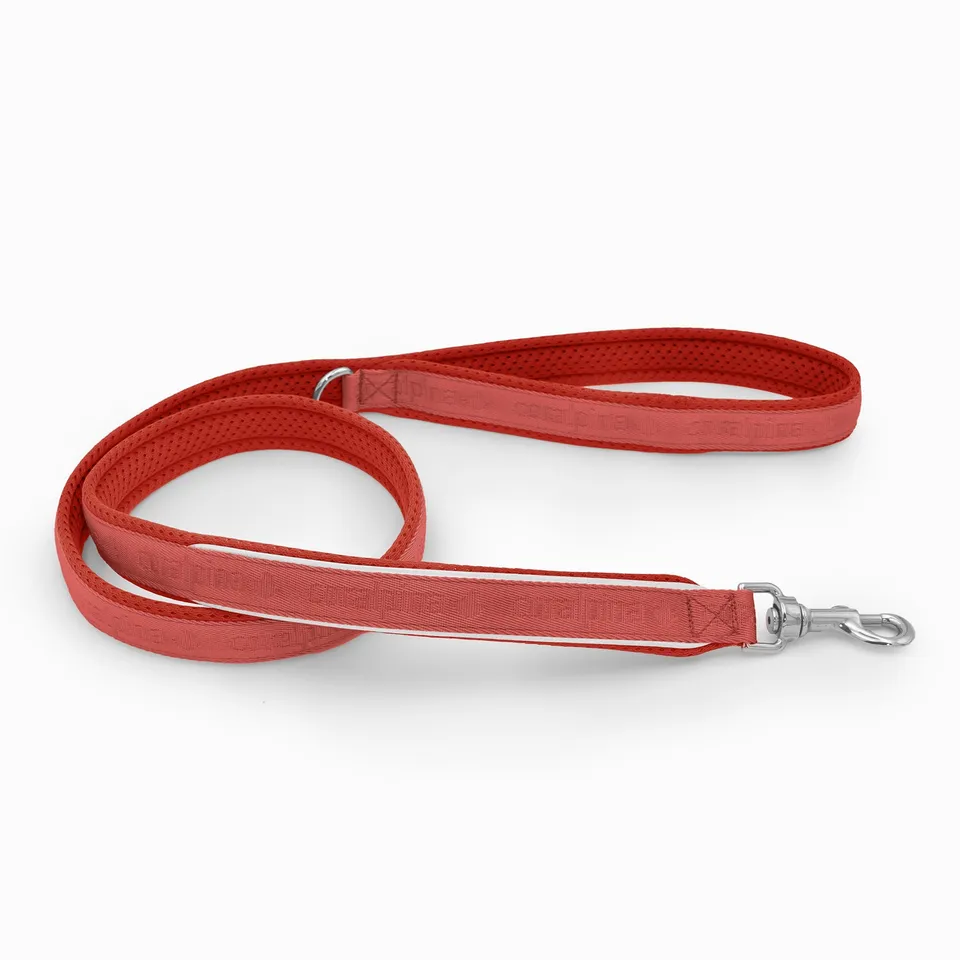 coralpina-cadore-laisse-nylon-130-cm-rembourr-e image 1