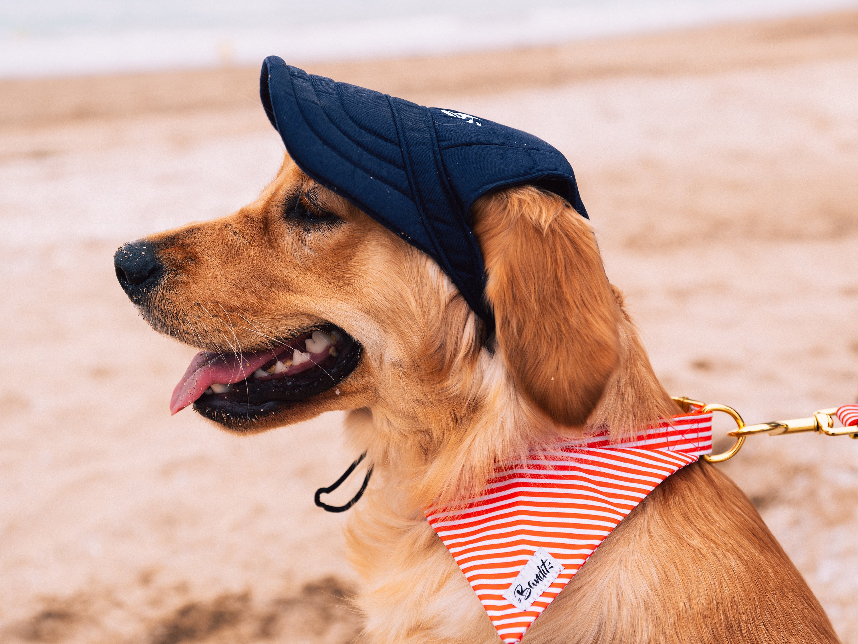 bandit-casquette-pour-chien-chapeau-bleu-marine-uv-taille-s image 2
