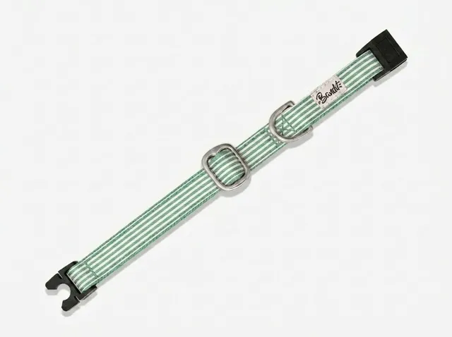 bandit-collier-chat-ray-vert-blanc-anti-tranglement image 1