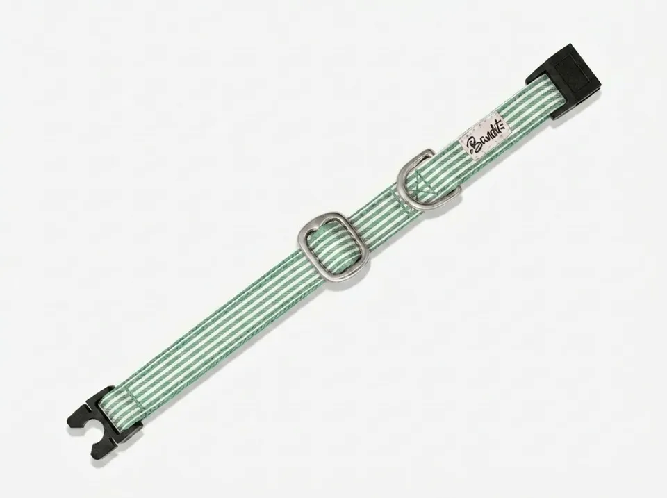 bandit-collier-chat-ray-vert-blanc-anti-tranglement image 1