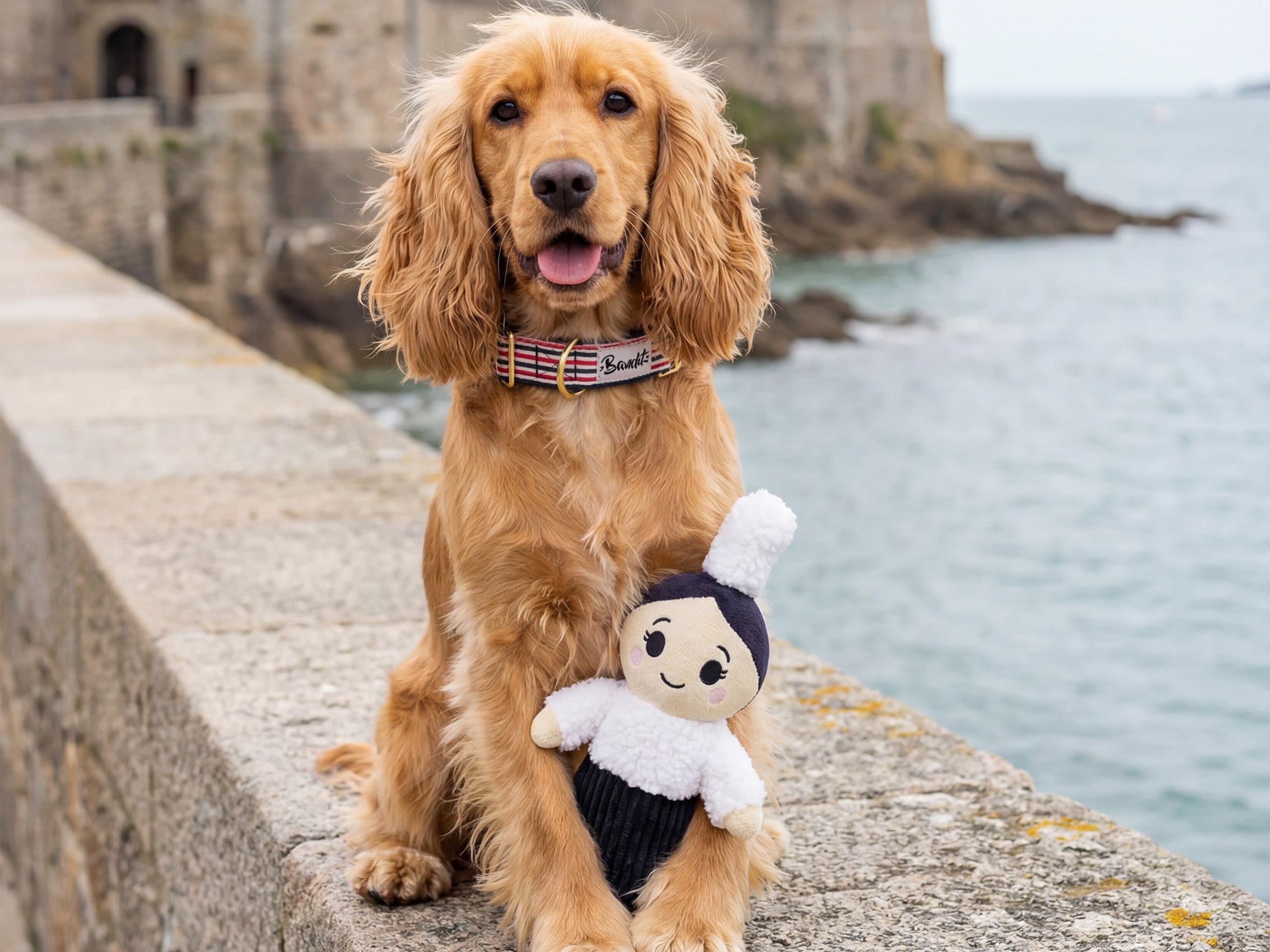 bandit-jouet-bigoud-ne-peluche-chien-couineur-mam-breizh image 2