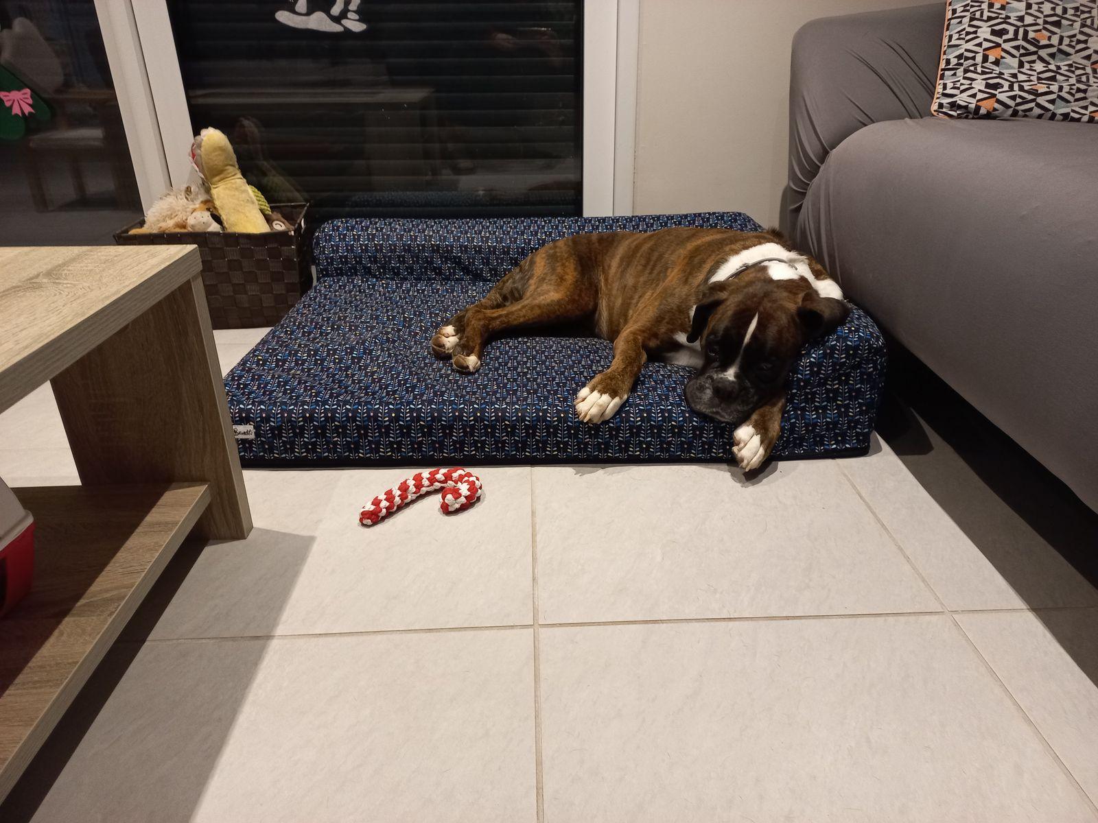 Confortable