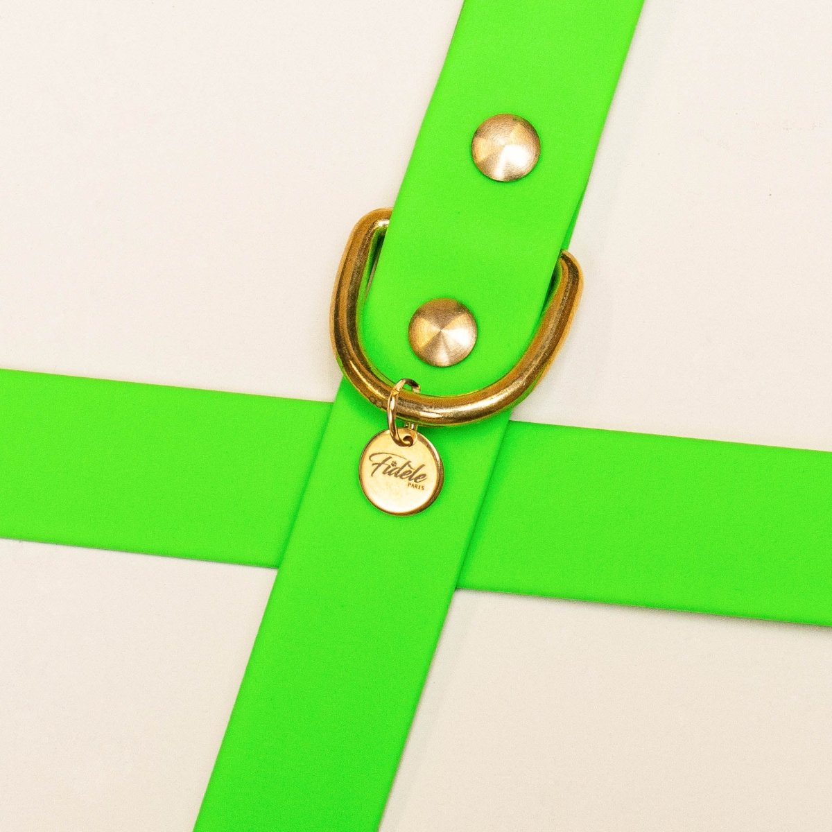 fid-le-paris-colliers-collier-chien-vert-fluo-visible image 3