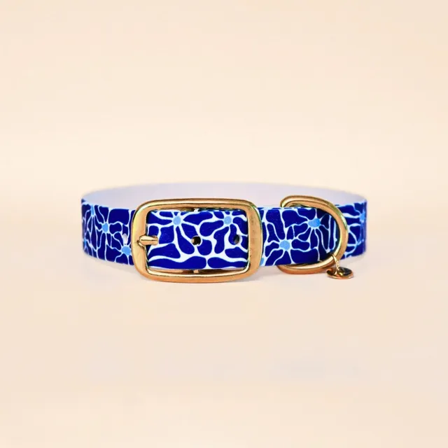 fid-le-paris-z-phir-collier-chien-bleu-vague-t image 1
