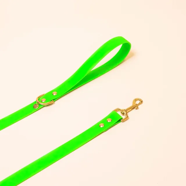 fid-le-paris-l-aventurier-laisse-chien-vert-fluo-imperm-able image 1