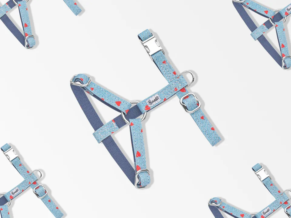bandit-denim-harnais-chat-c-urs-rouges-clara image 1