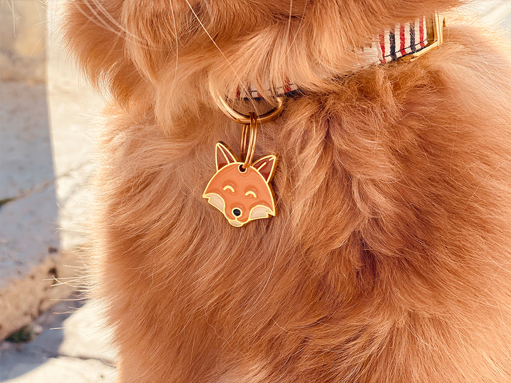 bandit-roucky-m-daille-chien-renard-gravable image 2