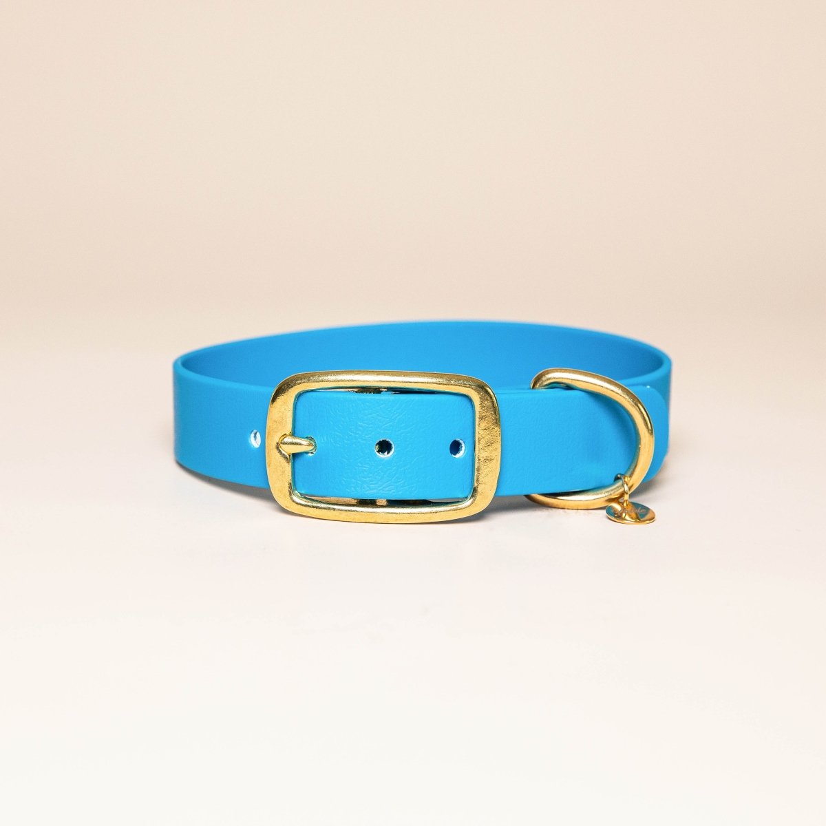 fid-le-paris-l-aventurier-collier-chien-bleu-lectrique image 1