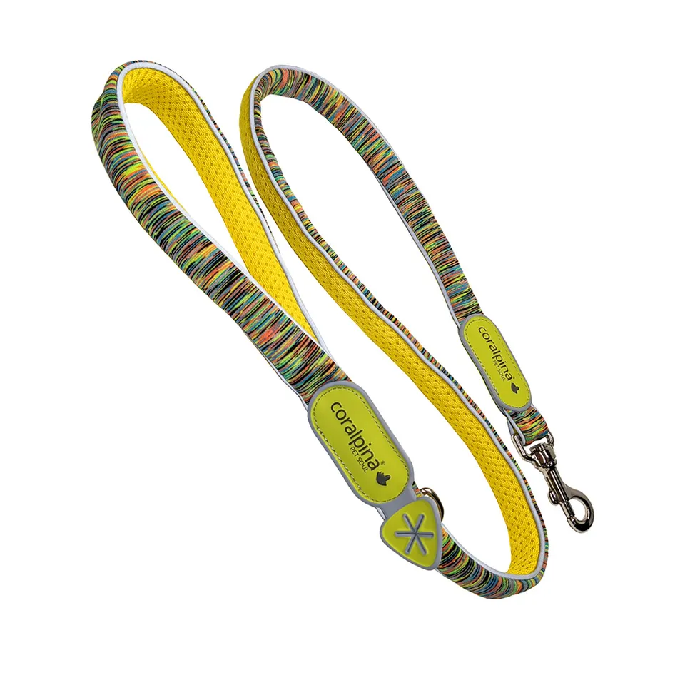 coralpina-powermix-laisse-chien-promenade image 1