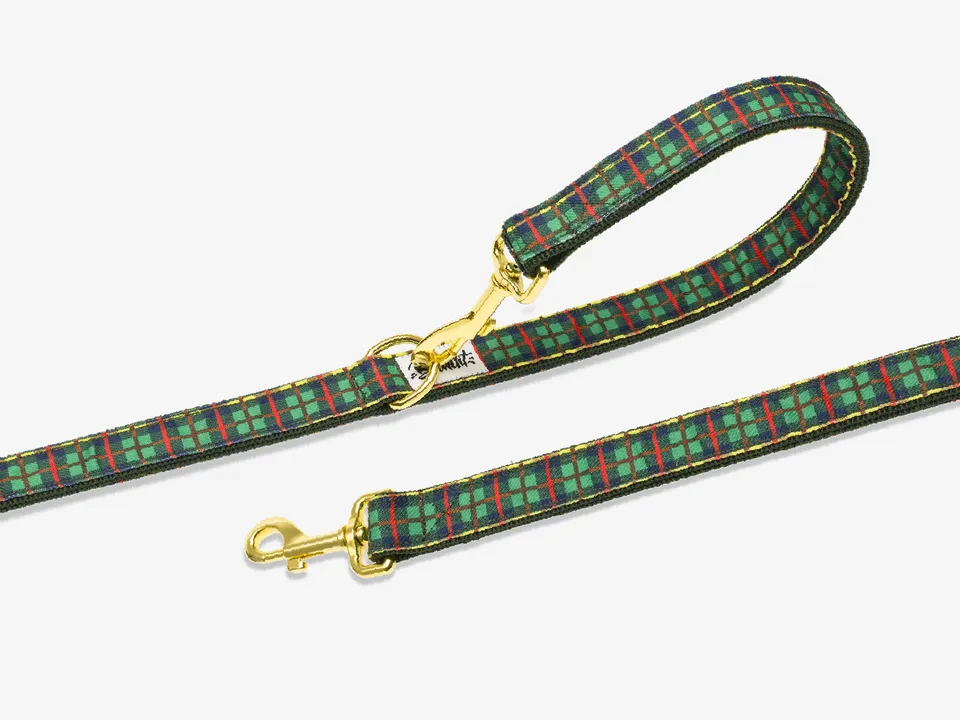 bandit-laisses-grand-froid-laisse-chien-tartan-vert-120-cm image 1